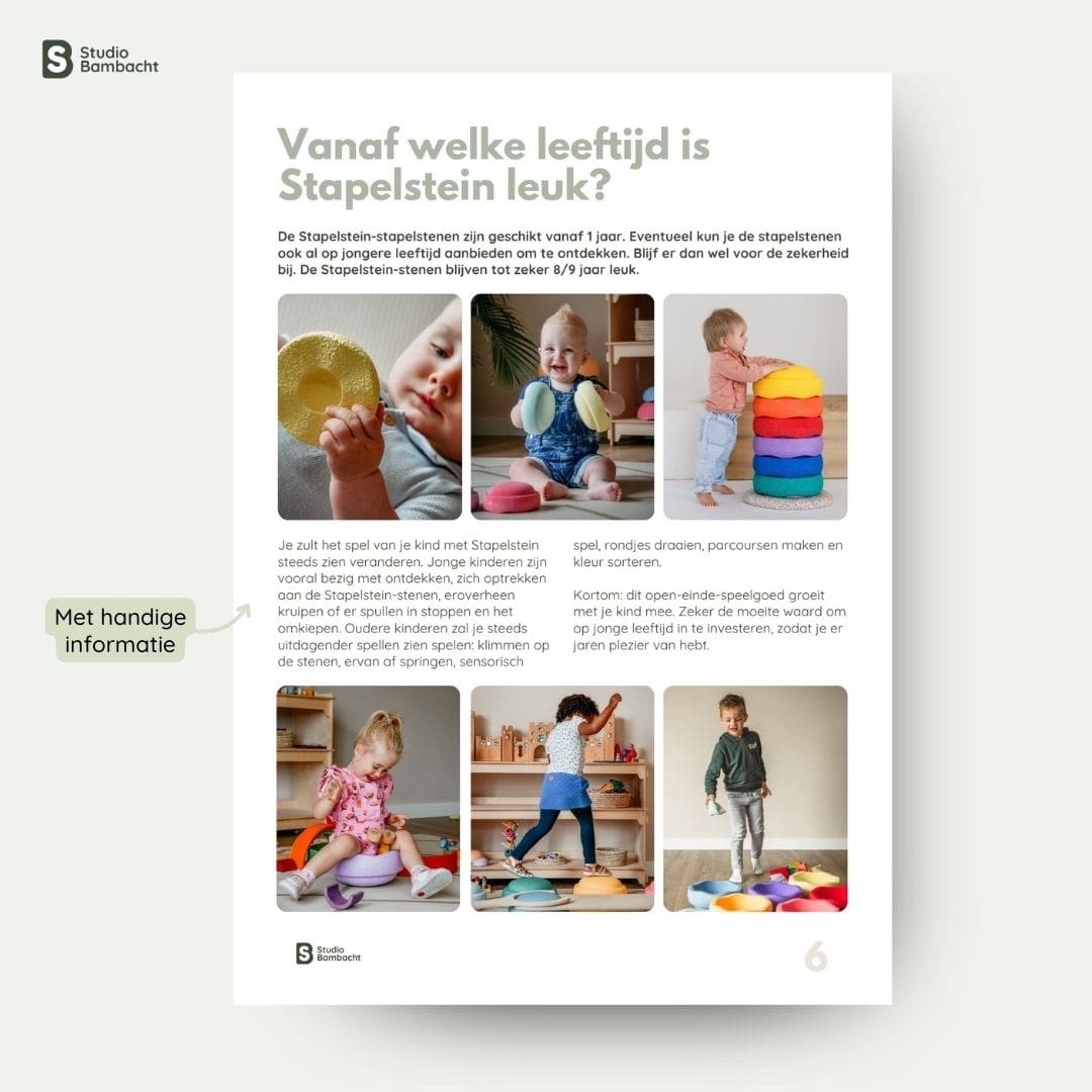 Stapelstein speelgids met spelideeën