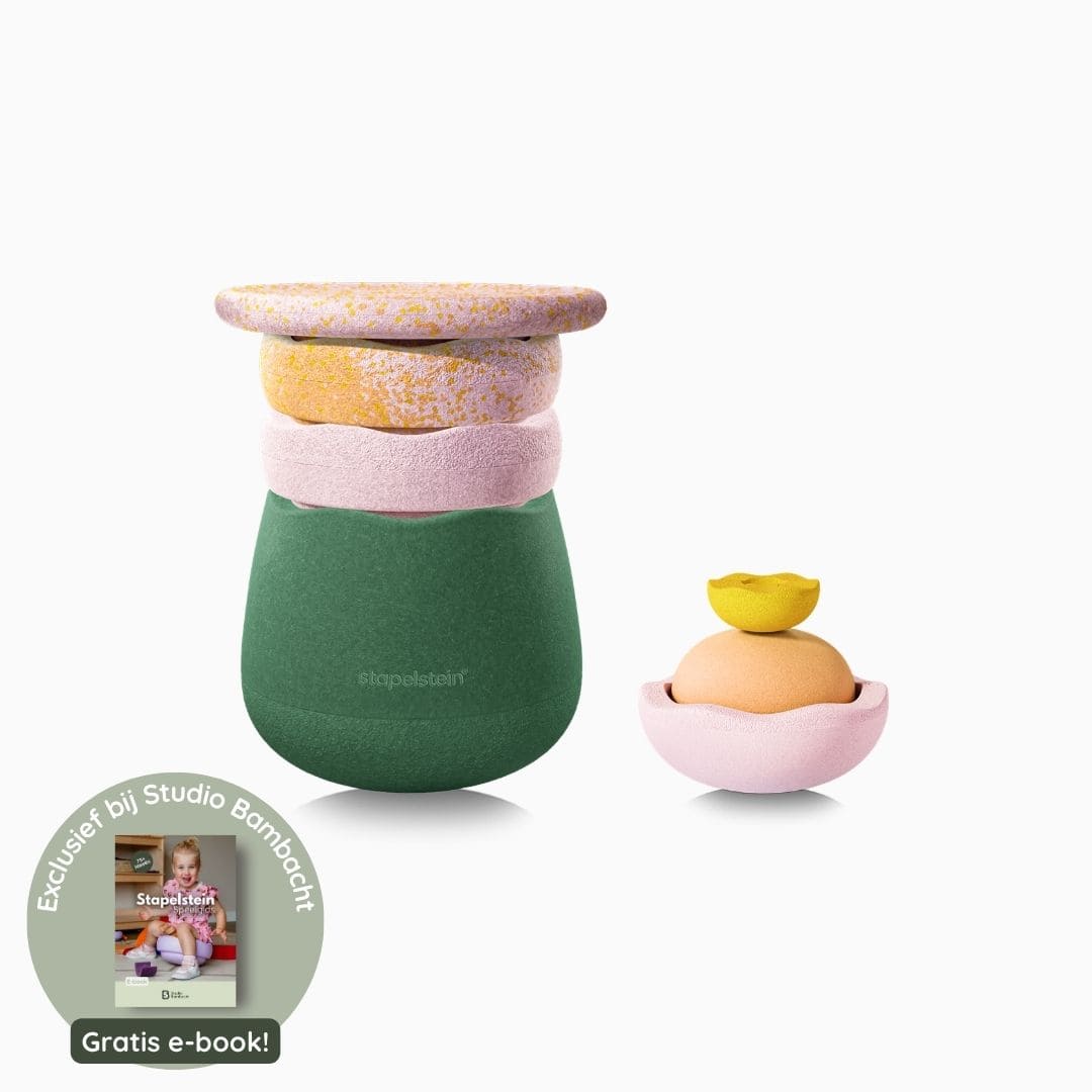 Stapelstein spring special set met base, balance board, stenen en en inside stenen