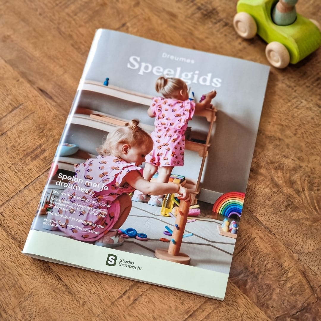 Pagina uit de dreumes speelgids van Studio Bambacht