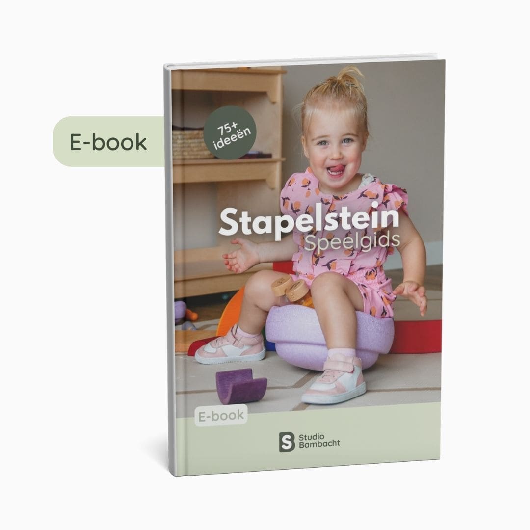 Stapelstein e-book speelgids cover