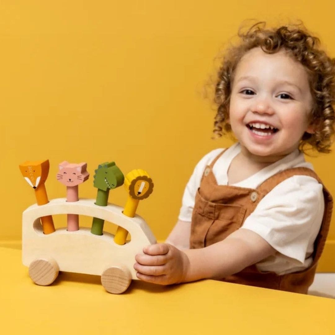 Trixie houten pop-up dierenbus