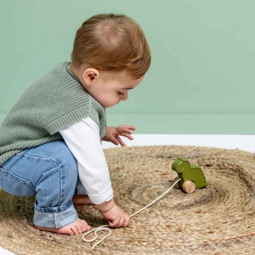 Trixie houten trekspeeltje in het thema van Mr. Dino