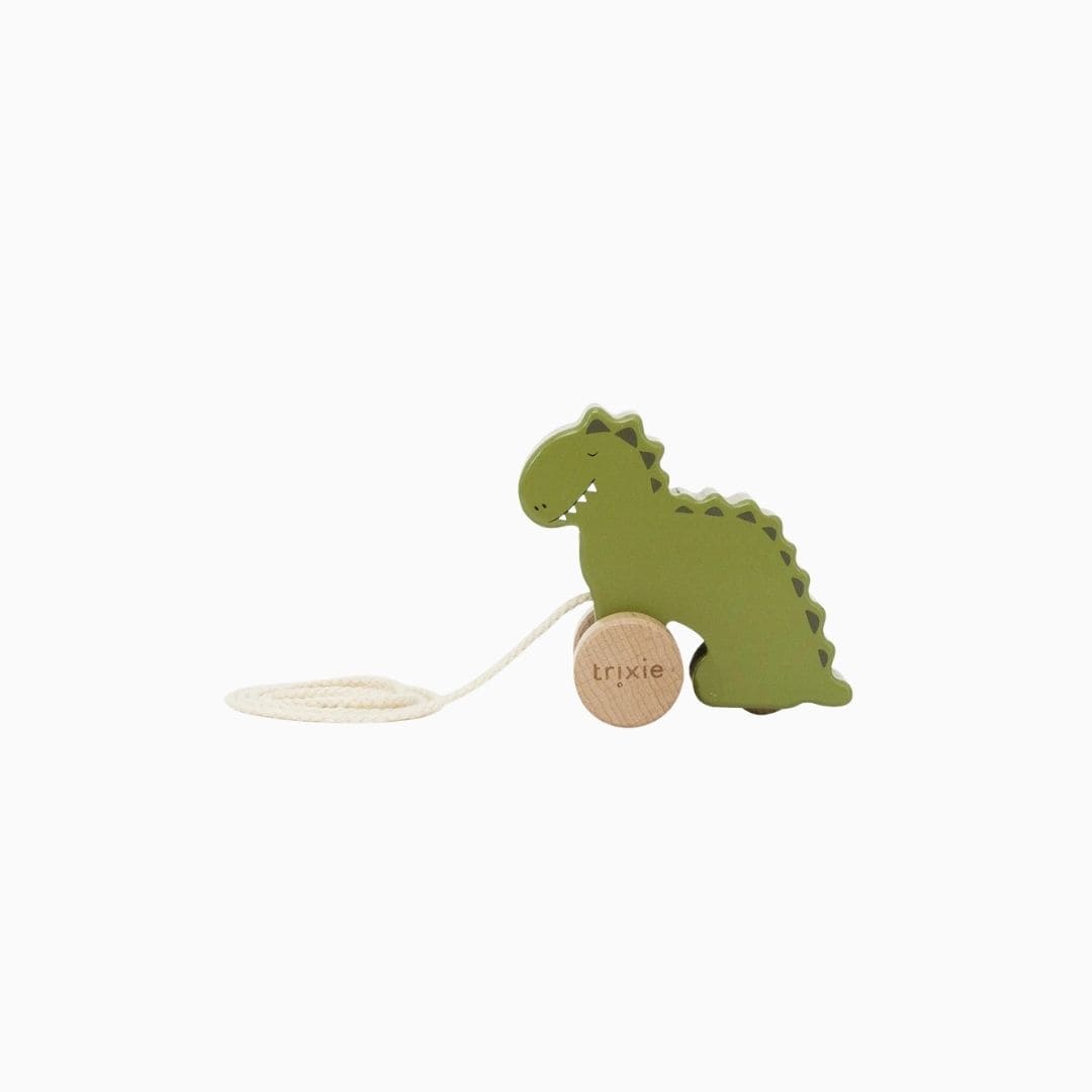 Trixie houten trekspeeltje in het thema van Mr. Dino