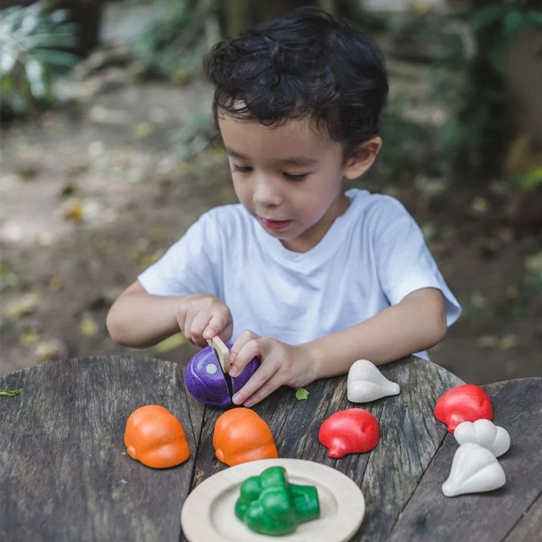 Plantoys vegetarische set groenten