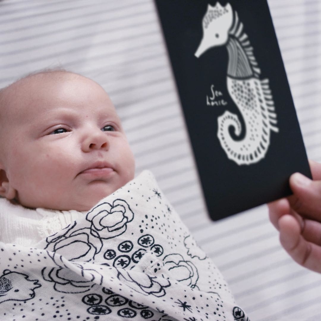 Wee Gallery zwart-wit contrastkaarten Art Cards in het thema oceaan