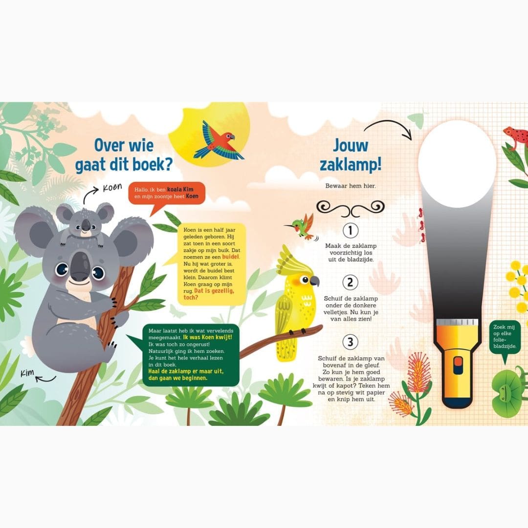 Lantaarn Publishers zaklampboek speuren naar Koala's