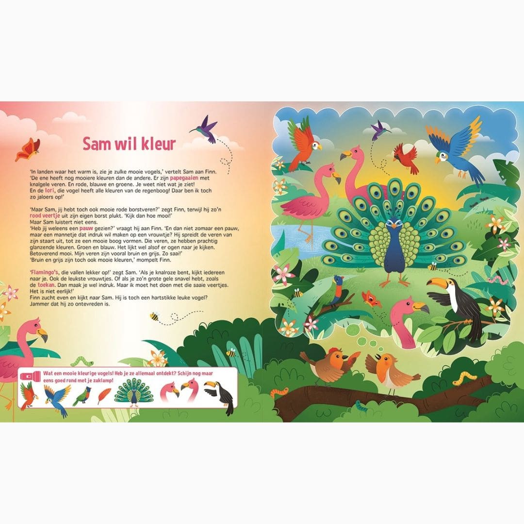 Zaklampboek van Lantaarn Publishers met de titel speuren naar vogels