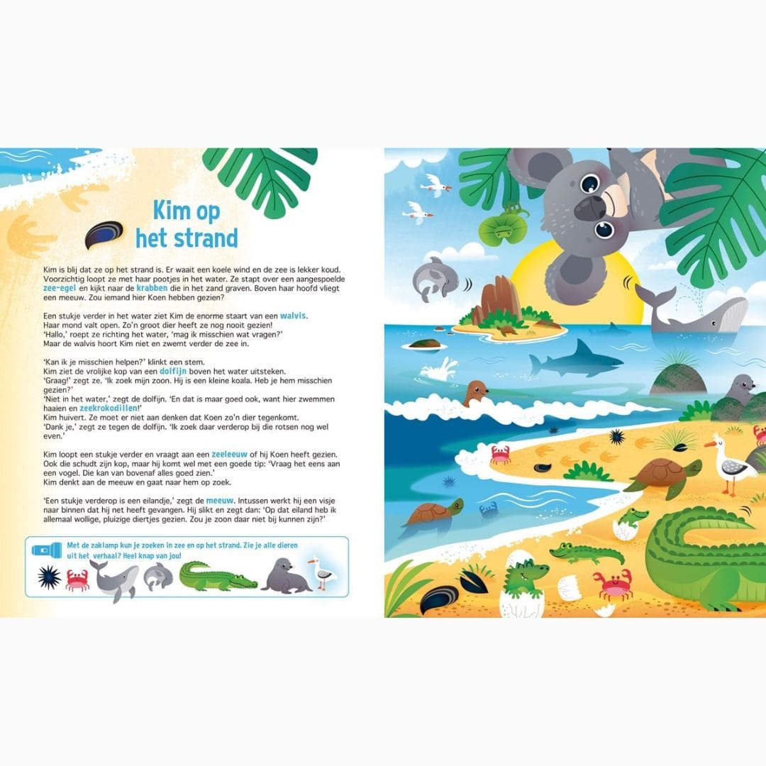 Lantaarn Publishers zaklampboek speuren naar Koala's